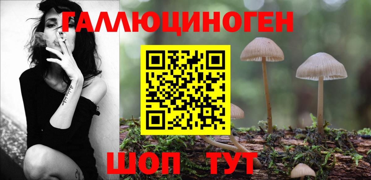 Кизилюрт  Псилоцибиновые грибы мухоморы  Вход с VPN 