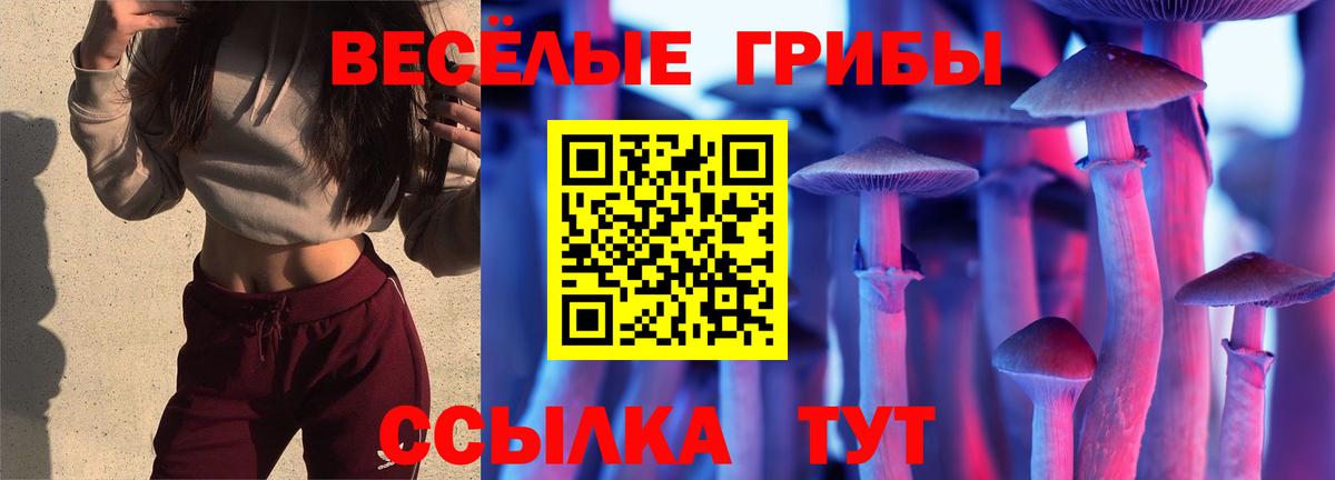 Галлюциногенные грибы прущие грибы Кизилюрт